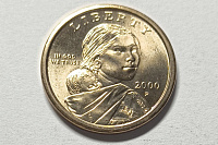 1 доллар, Индианка Сакагавея, перевертыш